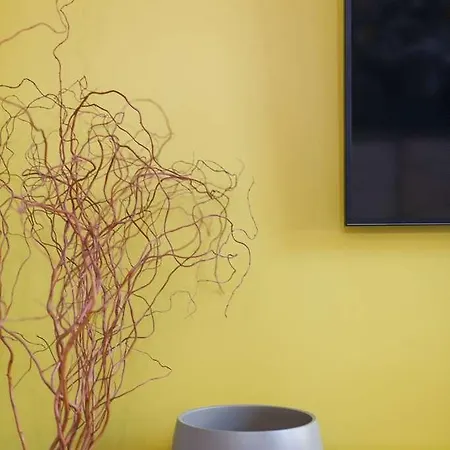 Le Quattro Dame Luxury ゲストハウス ローマ